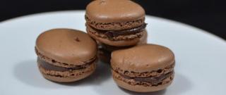 Chocolate Macaroons Photo