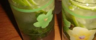 Homemade “Mojito” Photo