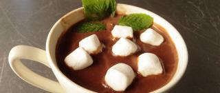 Hot Chocolate with Marshmallows Photo