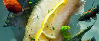 The Best Juicy Cod Fillets Photo