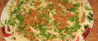 Spaghetti with Italian Tomato Sauce Photo