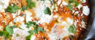 Shakshuka Photo