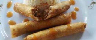 Asian Spring Rolls Photo