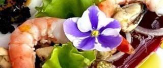 Seafood Salad on the Beetroot Jelly Photo