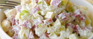 Potato Salad with Cheese Photo