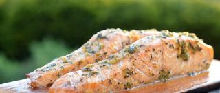 Cedar Planked Salmon Photo