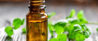 Mint Essential Oils Photo