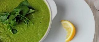 Broccoli Soup Photo