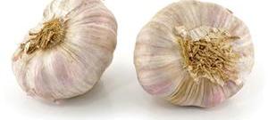 Roasted Garlic Bulbs Photo