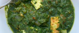 Authentic Saag Paneer Photo