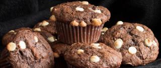 Moist Chocolate Muffins Photo