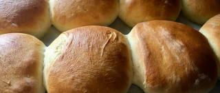 Homemade Hamburger Buns Photo