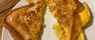 Grilled Cheese Sandwich Photo
