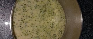 Broccoli Cheese Soup Photo