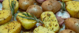 Grilled Potato Wedges with Rosemary Photo