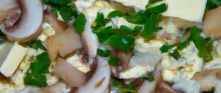 Adygei Cheese Stuffed Mushroom Appetizers Photo