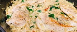 Creamy Chicken Boursin Orzo Bake Photo