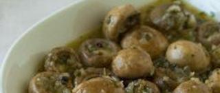 Marinated Mushrooms for Antipasto Photo