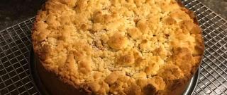 Easy German Apple Streusel Pie Photo