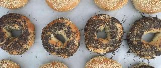 Bread Machine Bagels Photo