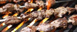 Persian Shish Kabob Photo