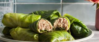 Polish Stuffed Cabbage Photo