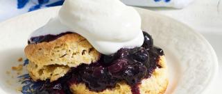 Blueberry Shortcake Photo