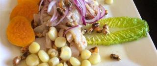 Ceviche Peruano Photo