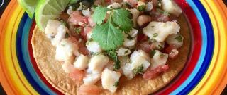 Citrus Ceviche Photo