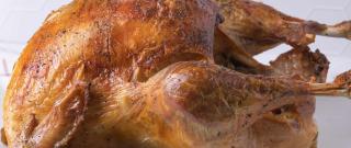 Ultimate Turkey Brine Photo