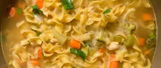 Chicken Noodle Soup with Egg Noodles Photo