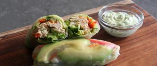 Chicken Salad Summer Rolls Photo