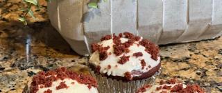 Red Velvet Cupcakes Photo