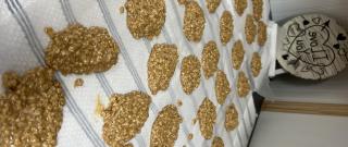 No-Bake Peanut Butter Cookies Photo