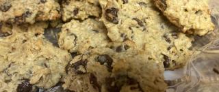 Lactation Cookies Photo