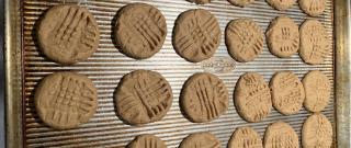 Joey's Peanut Butter Cookies Photo