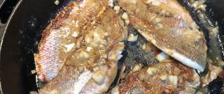 Pan-Seared Red Snapper Photo