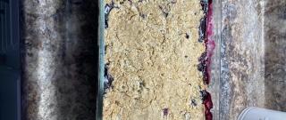 Blueberry Crisp Photo