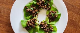 Asian Lettuce Wraps Photo