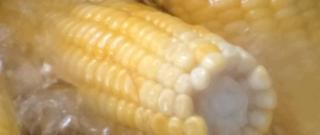 Jamie's Sweet and Easy Corn on the Cob Photo