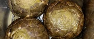 Instant Pot Steamed Artichokes Photo