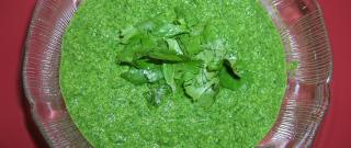 Green Chutney Photo