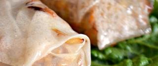 Baked Chicken and Vegetable Rice Paper Rolls Photo