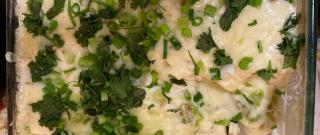 Chicken Enchiladas with Creamy Green Chile Sauce Photo