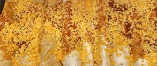 Easy Chicken Enchiladas Photo