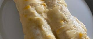 Creamy White Chicken Enchiladas Photo