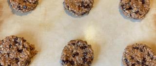 Chocolate Protein Balls Photo