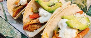 Chicken Fajita Tacos Photo