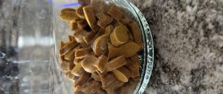 Homemade Dog Treats (Peanut Butter and Pumpkin) Photo