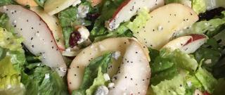 Winter Fruit Salad with Lemon Poppyseed Dressing Photo